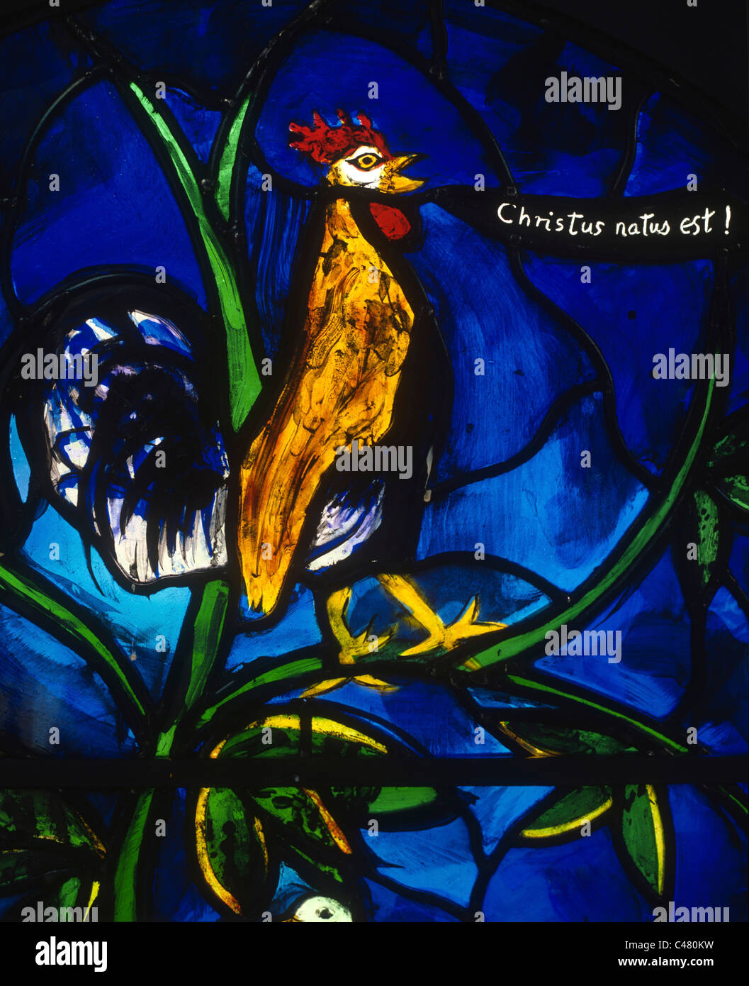 Hahn, Detail aus der Weihnachts-Fenster, St Mary die Jungfrau, Iffley, Oxford von John Piper gespendet von seiner Witwe Myfanwy Piper Stockfoto