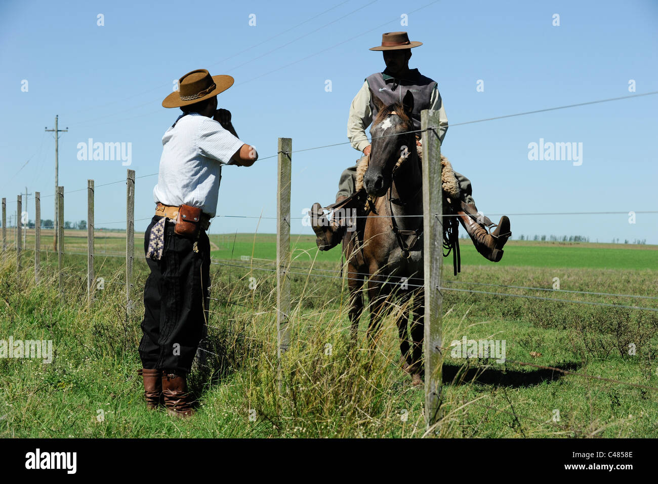 URUGUAY Landwirtschaft und Viehzucht, Gauchos mit Pferd und Merino Schafe Rinder auf Grasland Stockfoto