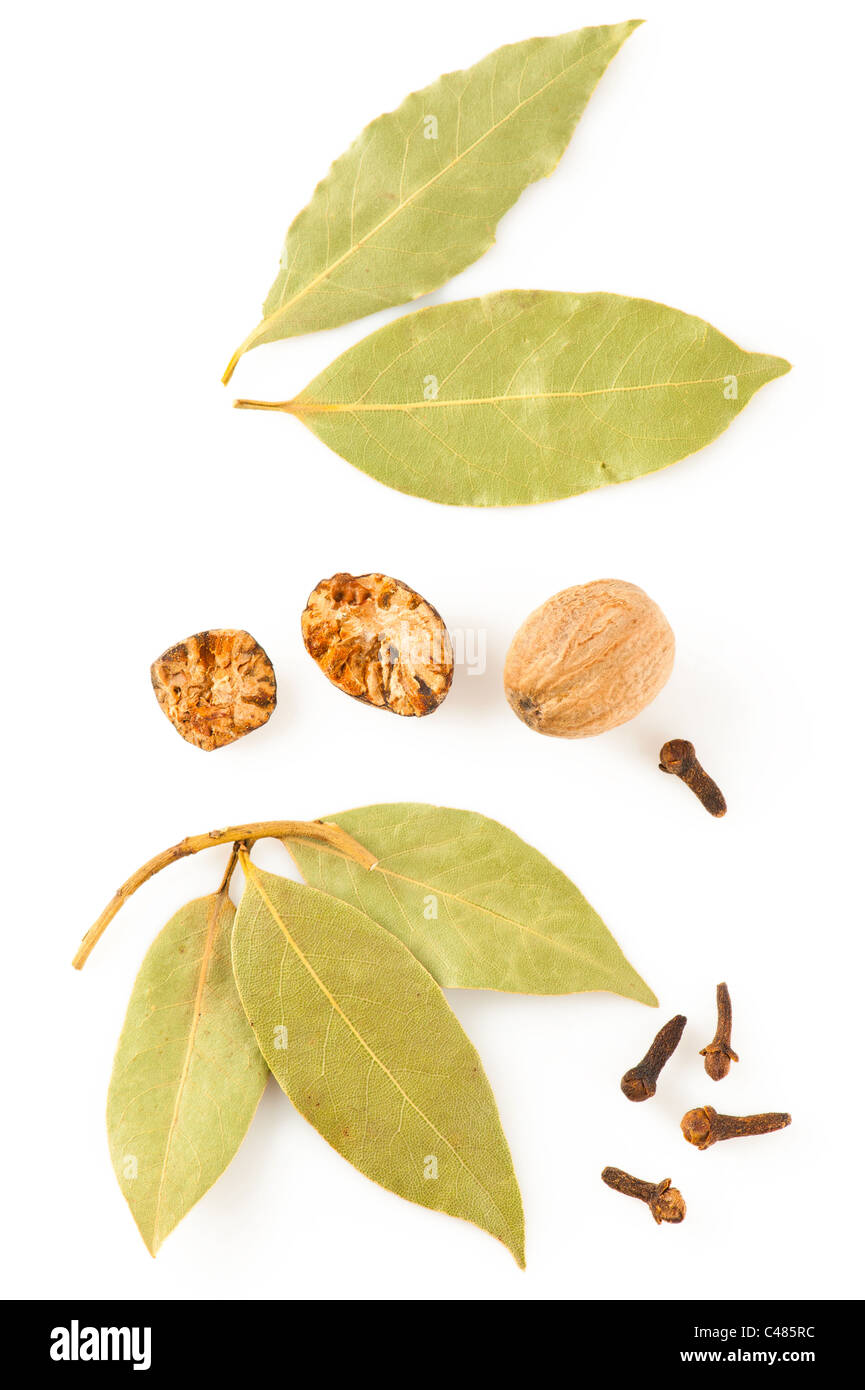 Gewürze. Mischung aus verschiedenen getrocknete Kräuter: Lorbeer, Muskatnuss und Nelken auf weißem Hintergrund Stockfoto