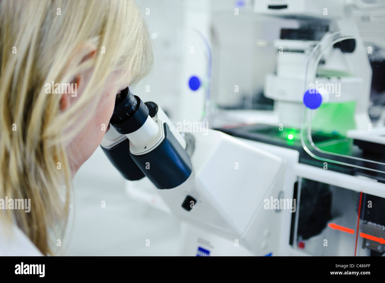 Junge blonde Wissenschaftlerin weißen Lab Coat starken Mikroskop in gut beleuchteten Wissenschaft Labor Zelle Bildern am Computer-Bildschirm Stockfoto