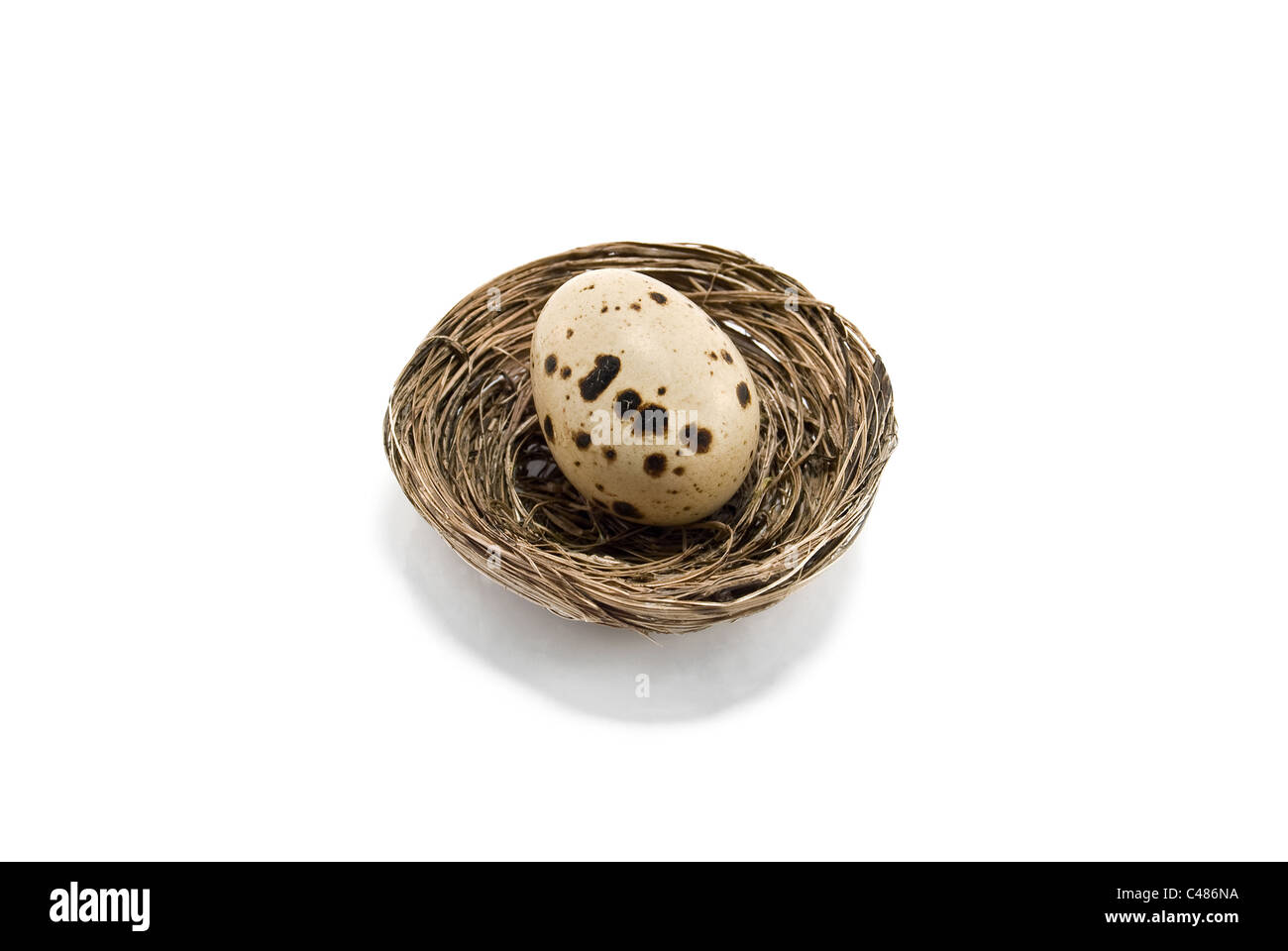 ein Ei in einem Nest ist isoliert auf weiß Stockfoto