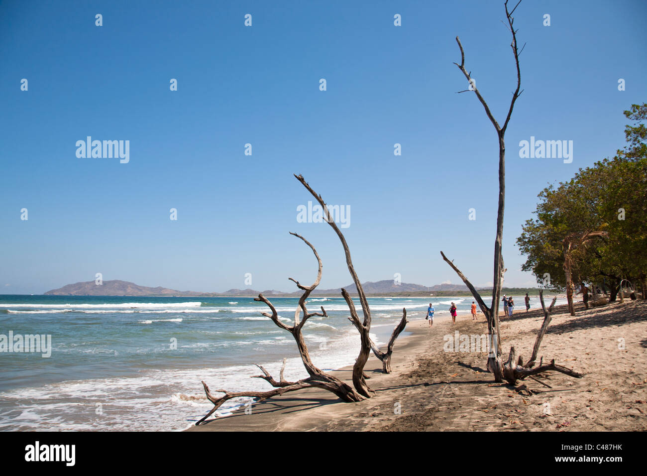 Playa Tamarindo Beach, Tamarindo, Halbinsel Nicoya, Costa Rica Stockfoto
