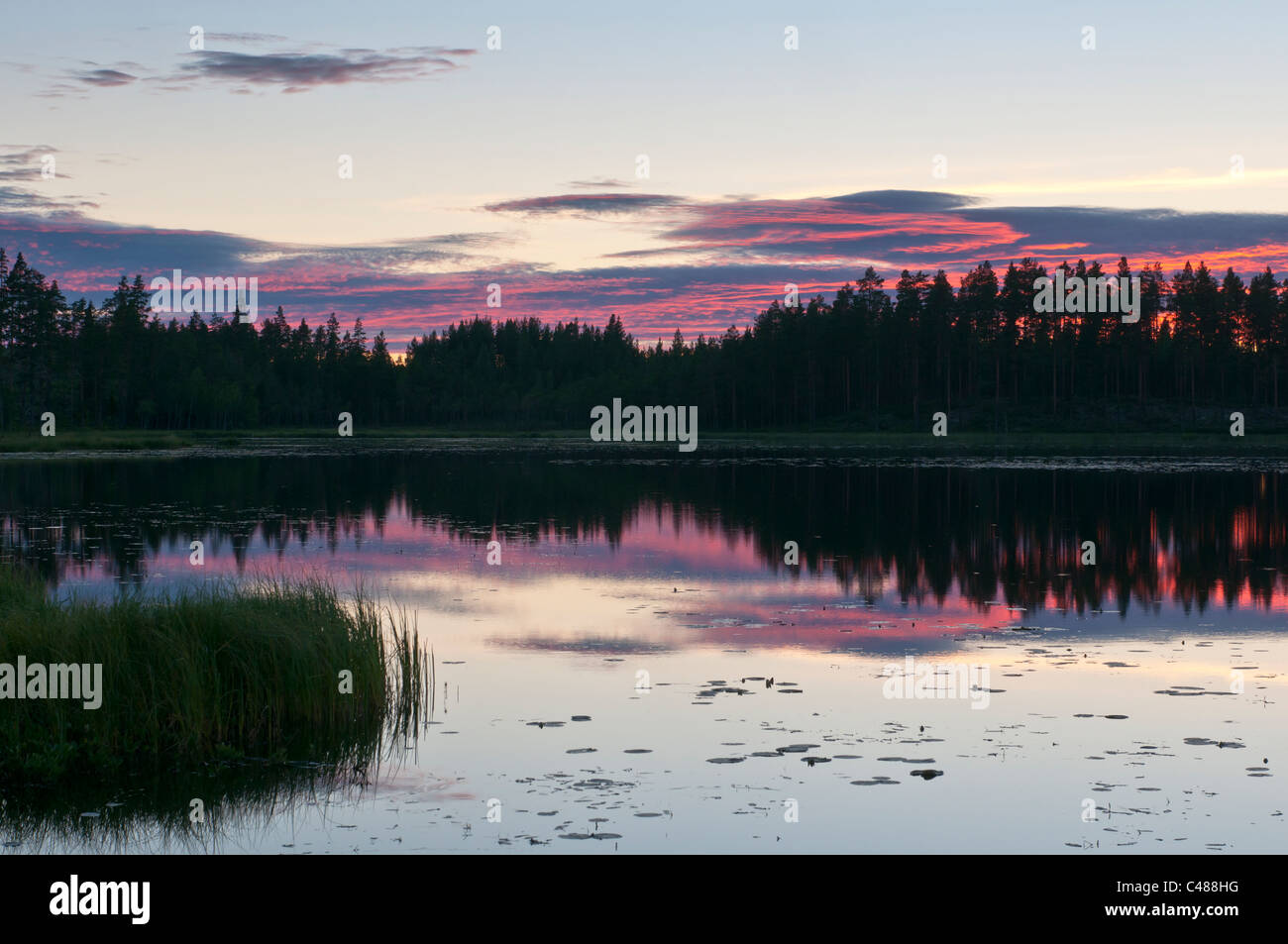 Werden ein Einem Waldsee, Rena, Hedmark, Norwegen, am Abend Stimmung, See, Norwegen Stockfoto