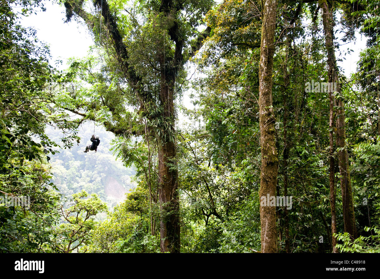 Tarzan Swing Extremo Monteverde Canopy Tour Monteverde