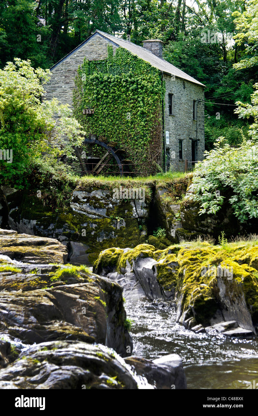 Cenarth verliebt sich alte Wassermühle am Fluss Teifi. Pembrokeshire Ceredigion Wales Stockfoto