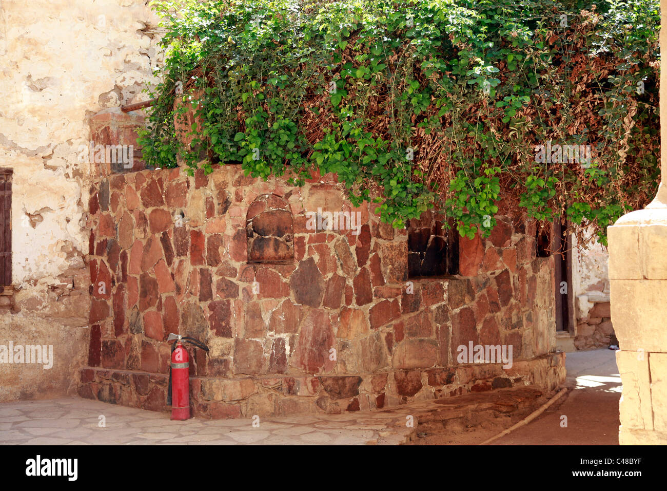 Der brennende Dornbusch und Feuerlöscher wo Gott zu Mose auf dem Katharinenkloster, South Sinai-Halbinsel, Ägypten erschienen Stockfoto