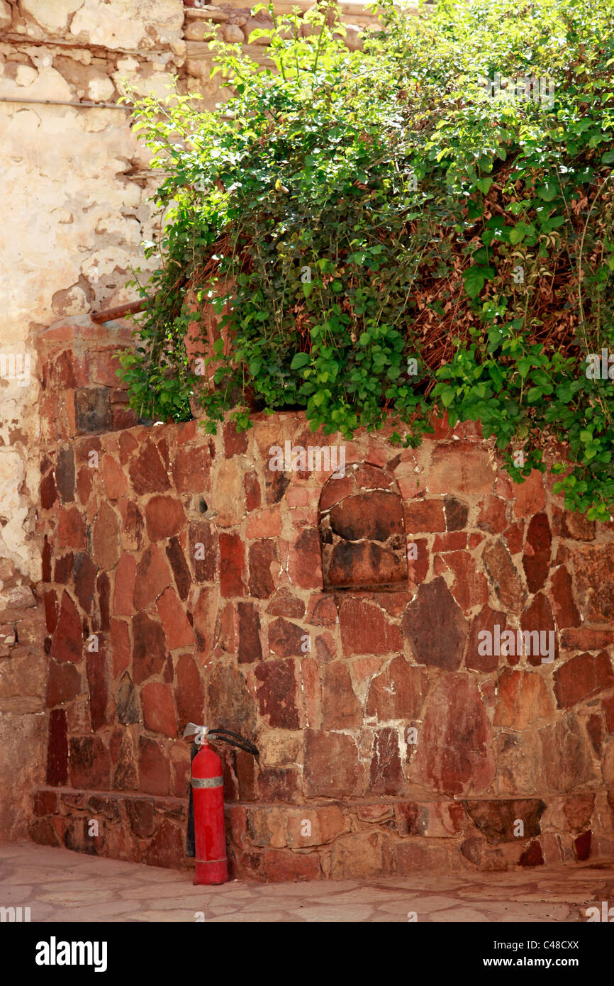 Der brennende Dornbusch und Feuerlöscher wo Gott zu Mose auf dem Katharinenkloster, South Sinai-Halbinsel, Ägypten erschienen Stockfoto