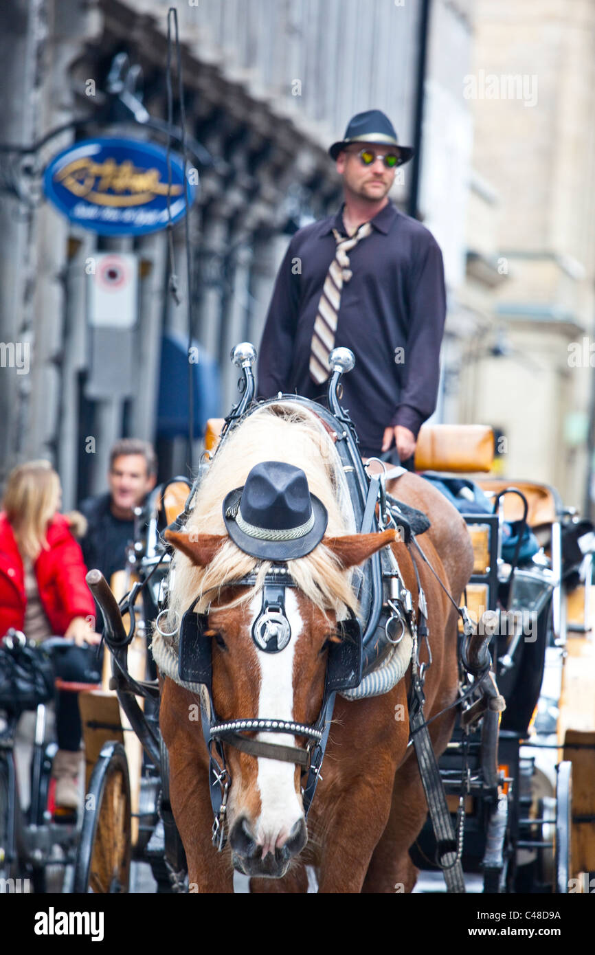 Pferd Kutsche, Old Town, Montreal, Kanada Stockfoto