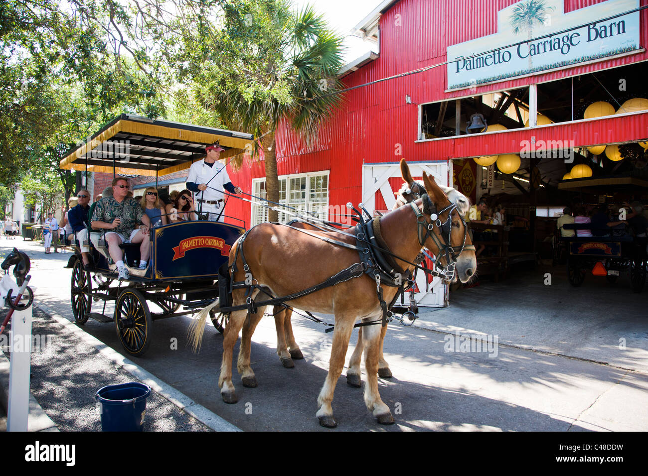 Touristen auf einem Pferd und Buggy-Fahrt von der historischen Innenstadt von Charleston, South Carolina, USA Stockfoto