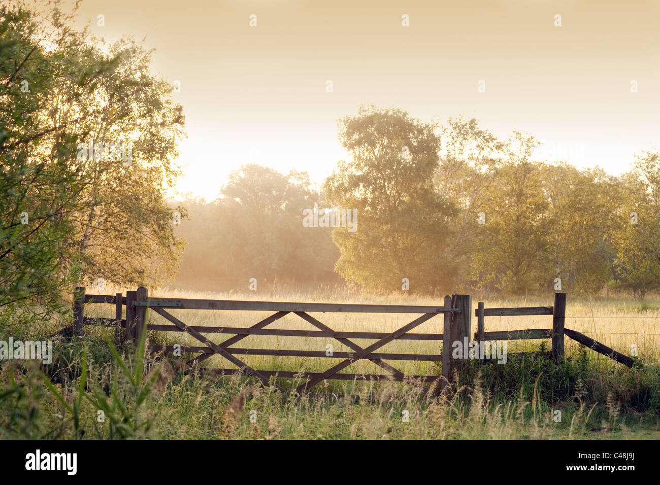 Landschaft von Suffolk im Morgengrauen, Lackford Seen, Suffolk UK Stockfoto