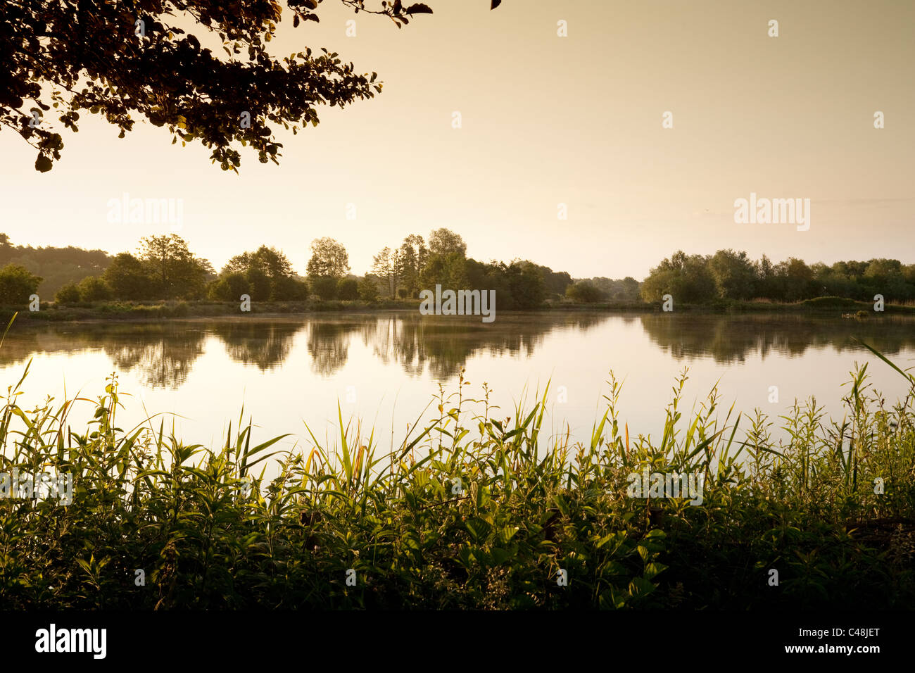 Lackford Seen, Suffolk UK Stockfoto