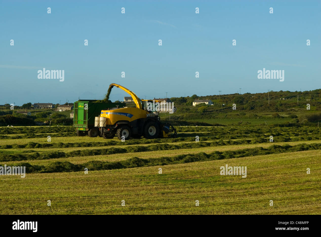 Landwirtschaftliche Fahrzeuge arbeiten, um Heu, Cornwall England UK zu sammeln Stockfoto