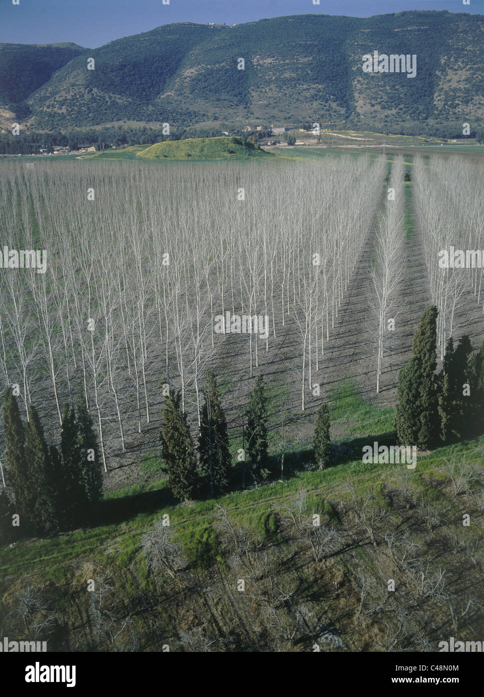 Luftaufnahme der Landwirtschaft Felder des Carmel ridge Stockfoto