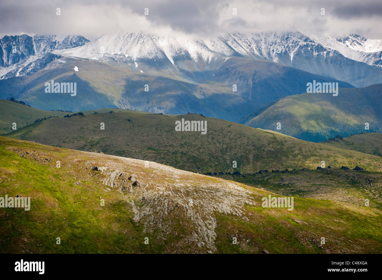 Auf dem Weg zur MTN Belukha, Republik Altai, Sibirien, Russland Stockfoto