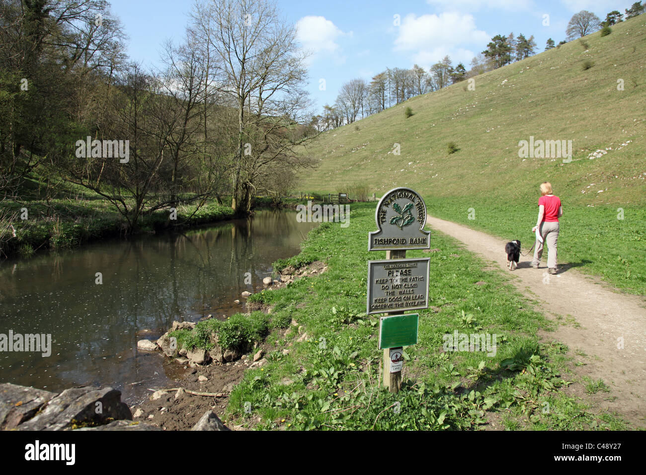 Eine Frau, die zu ihrem Hund am Fischteich Bank National Trust, Wolfscote Dale, Staffordshire, Peak District National Park Foto entnommen aus öffentlichen Fußweg Stockfoto