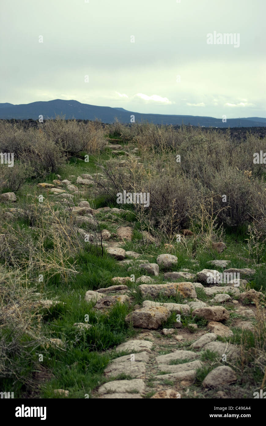 Steingrundlagen Tsankawi Pueblo, erstreckt sich bis zum Ende der Mesa, Sangre de Christo Mountains im Hintergrund. Stockfoto
