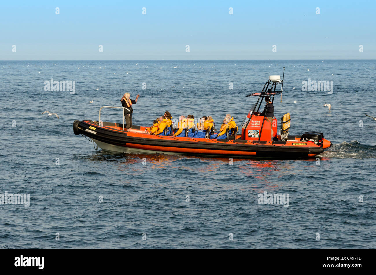 Seevogel-Safari-Boot in der Nähe von Bass Rock Stockfoto