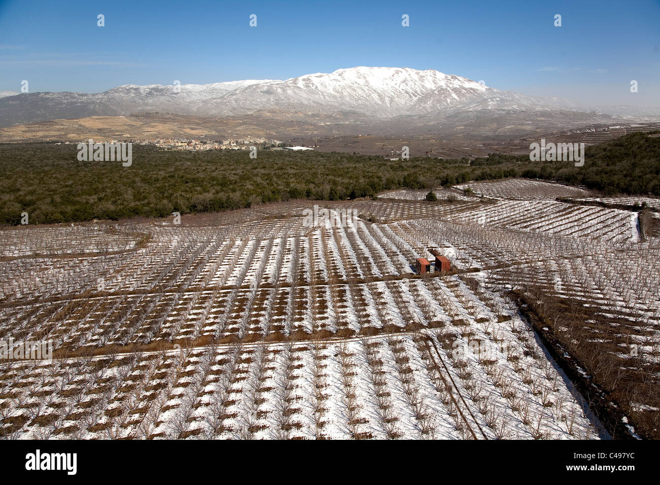 Luftaufnahme von einer eisigen Plantage im nördlichen Golanhöhen Stockfoto