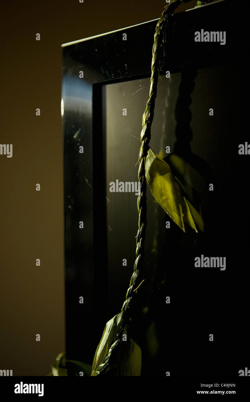 Eine sterbende Pflanze drapiert über einen Rahmen Stockfoto