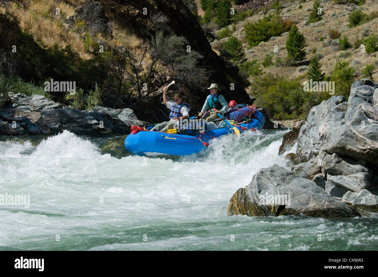 Sparren Tappan fällt auf den Middle Fork der Salmon River-ID ausgeführt Stockfoto