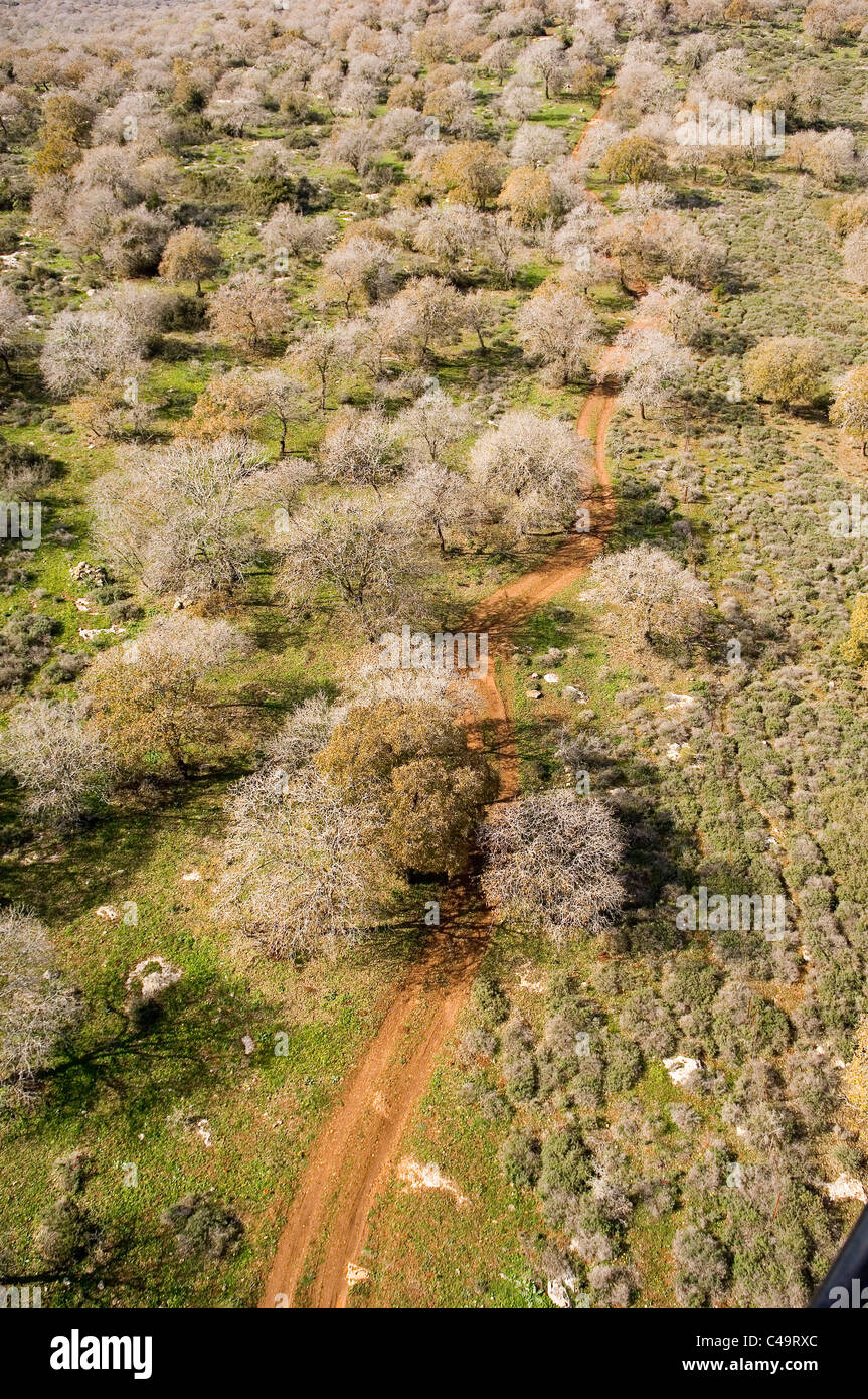 Luftaufnahme der grünen Felder in der unteren Galiläa Stockfoto