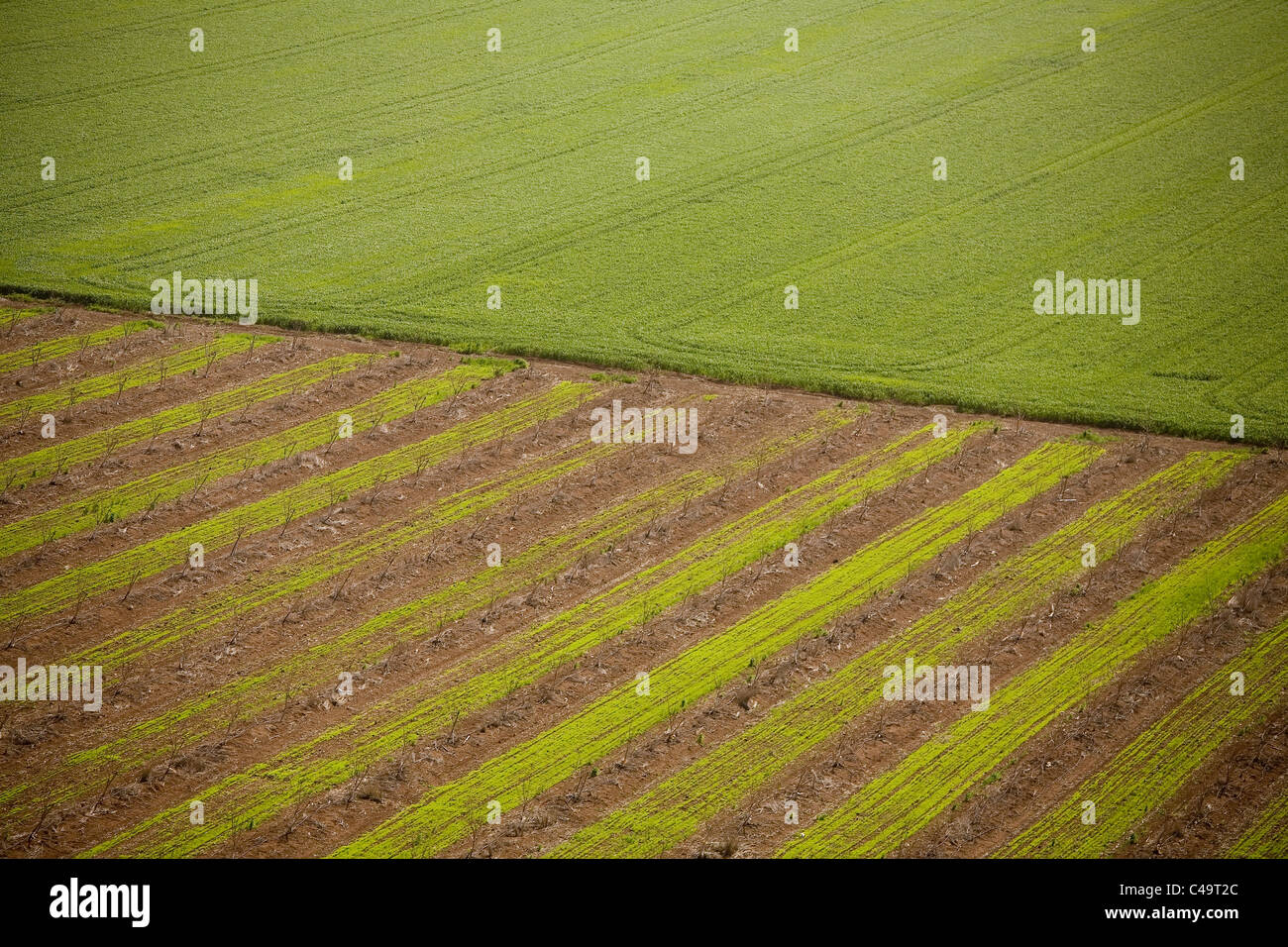 Luftaufnahme der Landschaft des unteren Galiläa Stockfoto