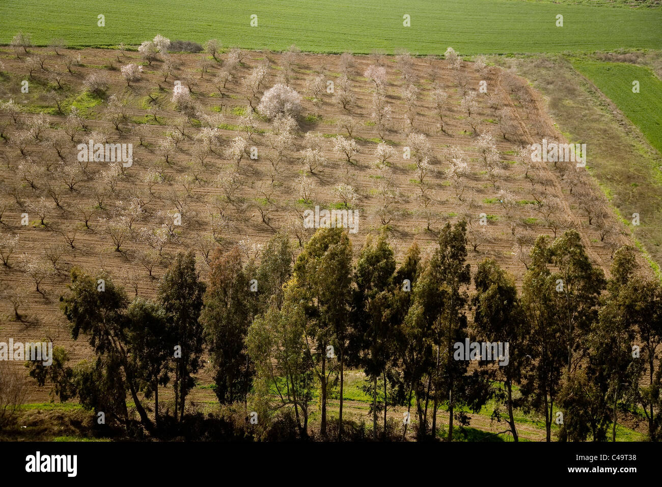 Luftaufnahme der Landschaft des unteren Galiläa Stockfoto