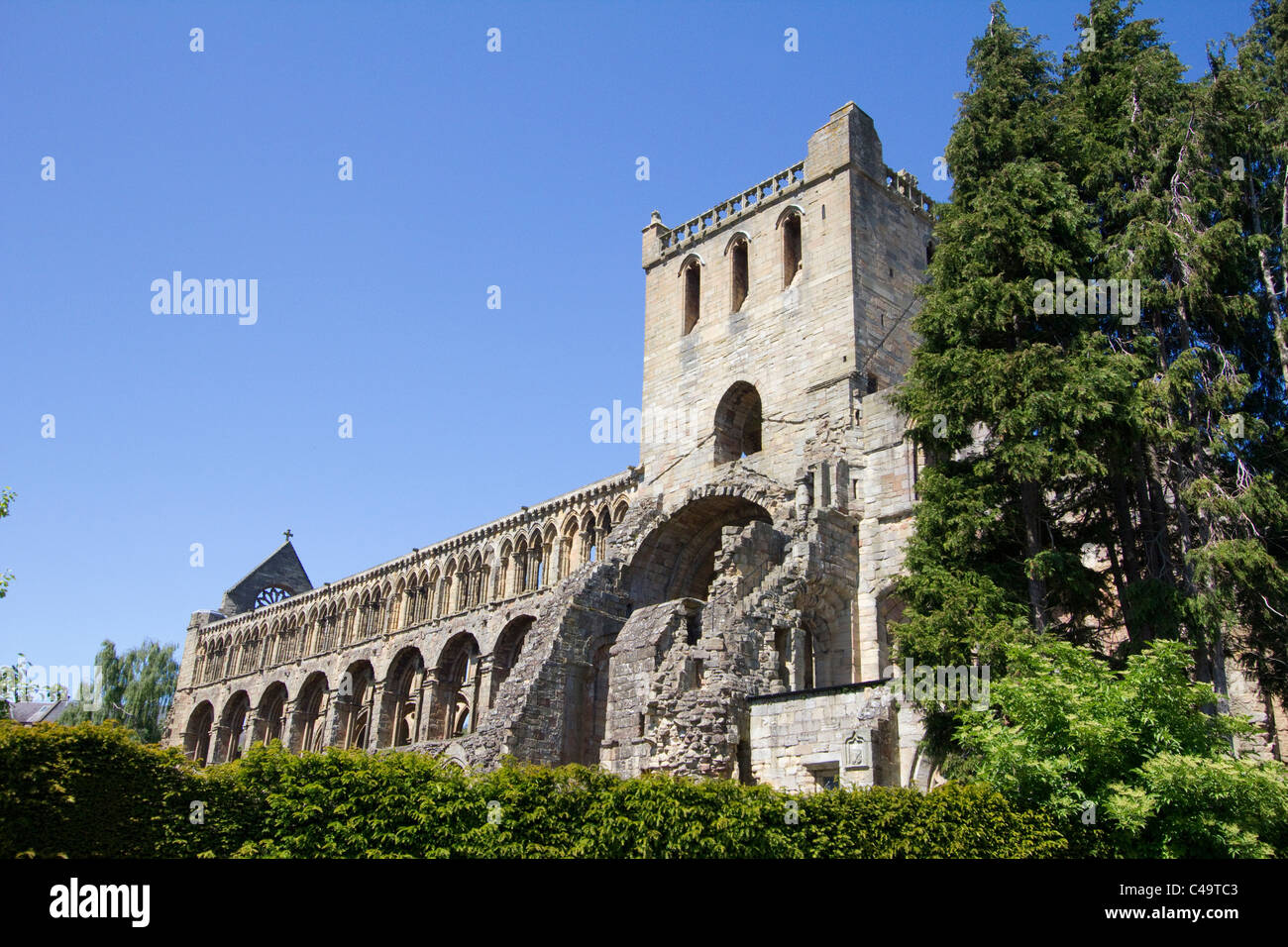 Jedburgh Abbey Ruinen Schottisch Schottland grenzt Stockfoto
