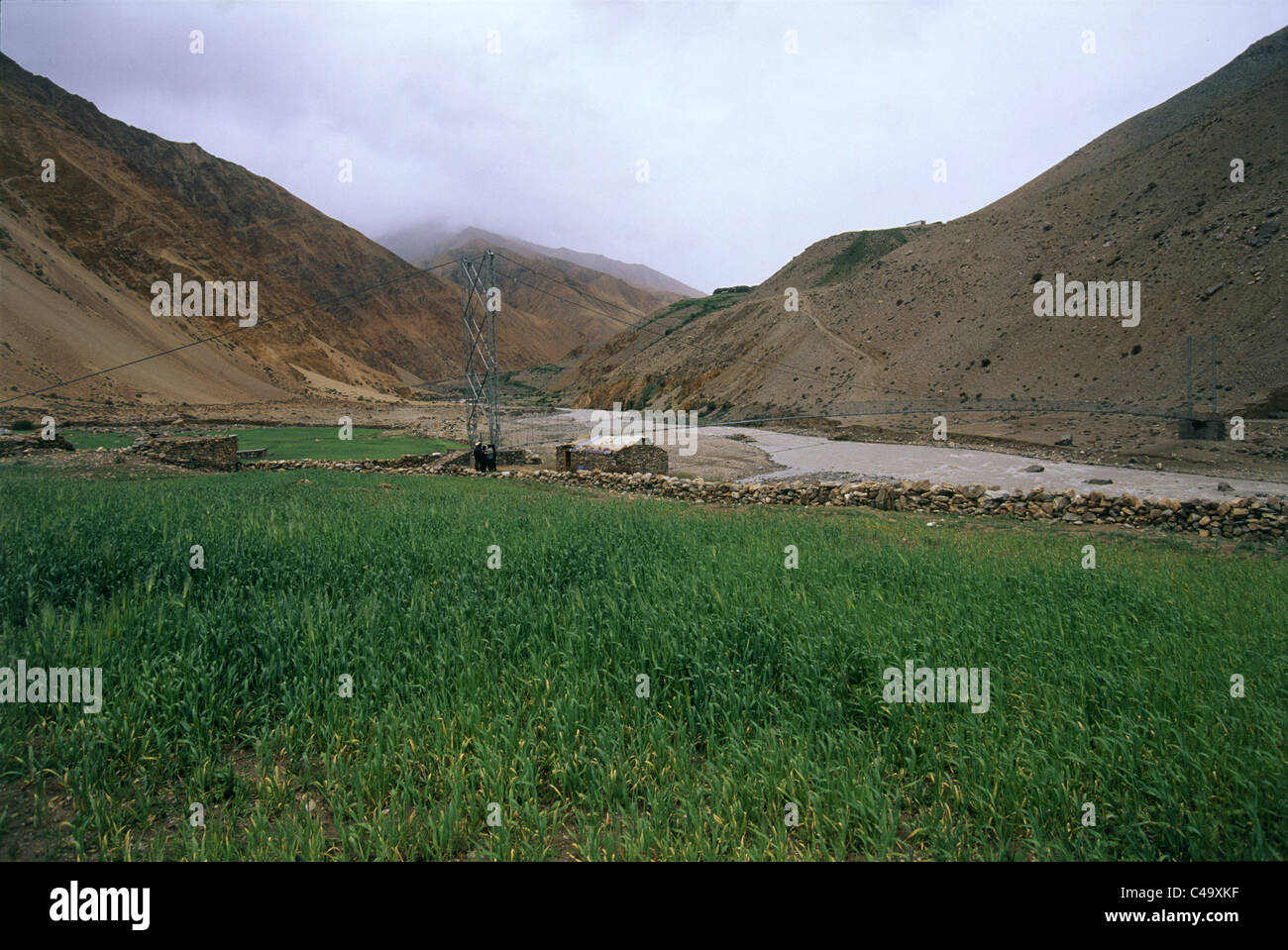 Foto von der grünen Wiese in Tibet Stockfoto