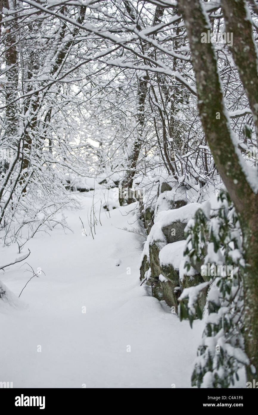 Sandvedparken, Sandnes, Rogaland. Winter, Schnee, park Stockfoto