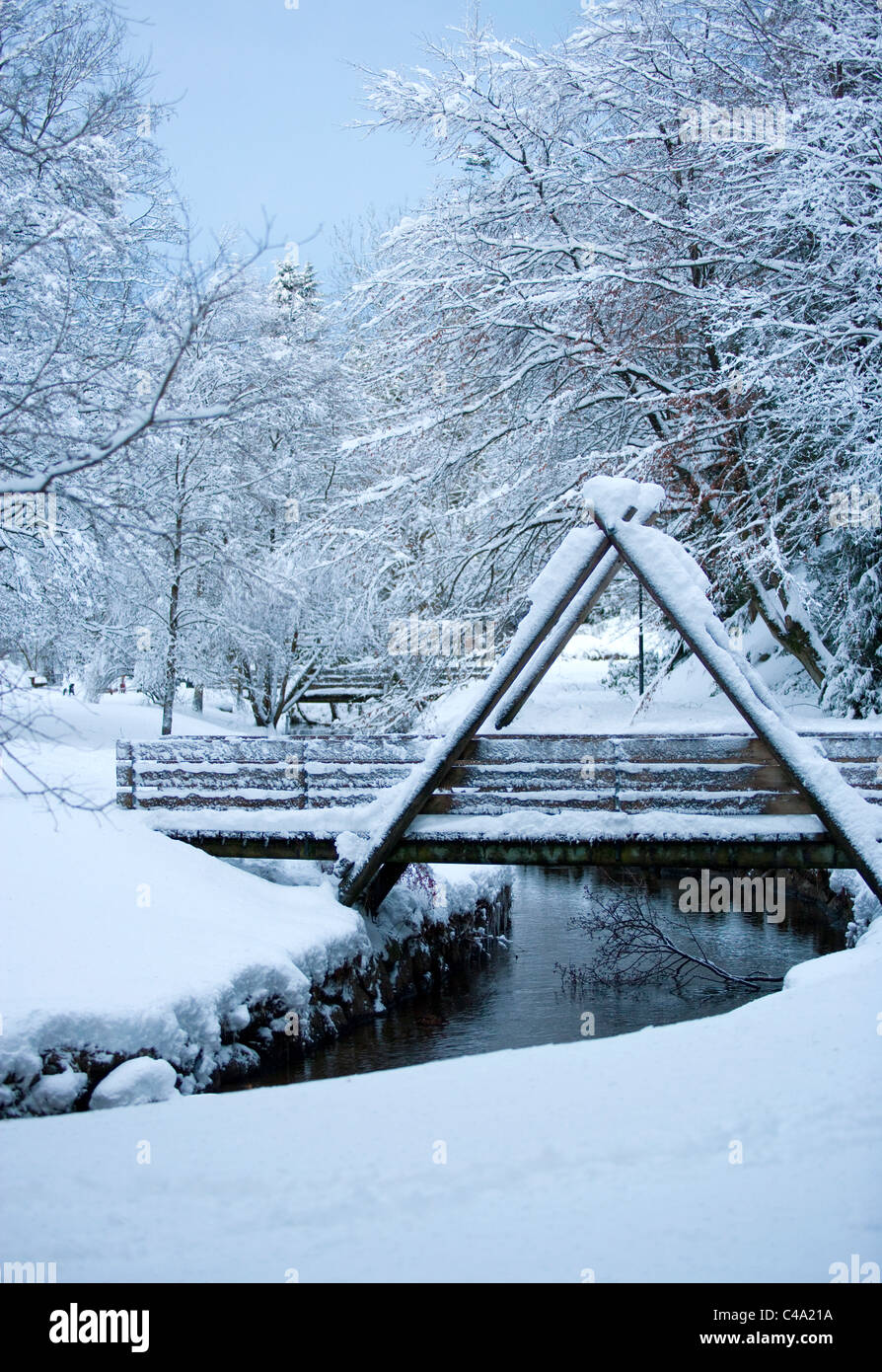 Sandvedparken, Sandnes, Rogaland. Winter, Schnee, park Stockfoto