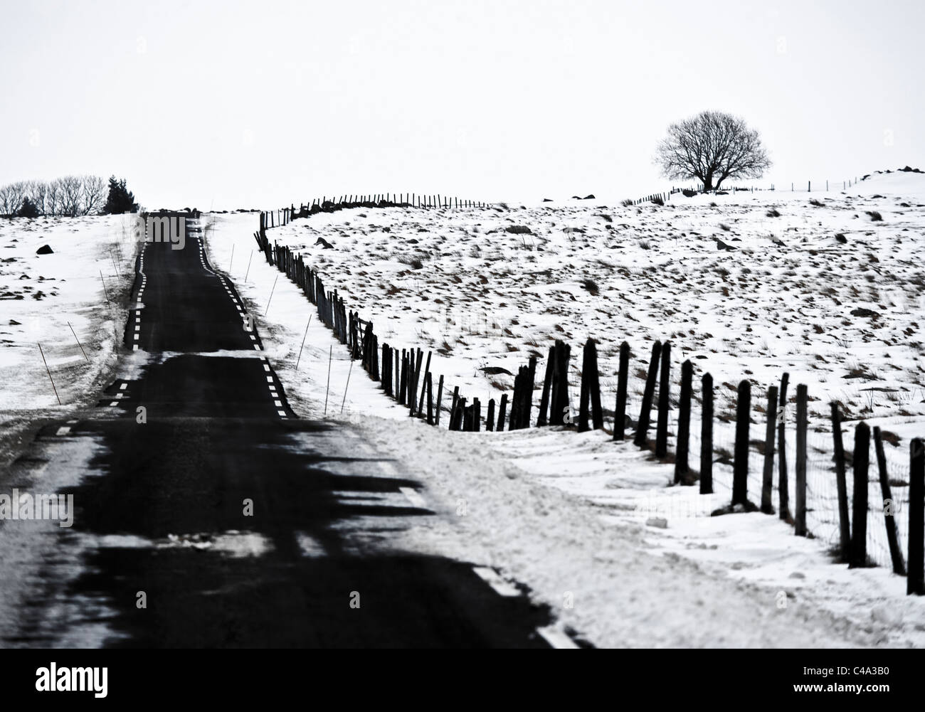 Landstraße in Rogaland, Norwegen. Winter, Schnee, Weide Stockfoto