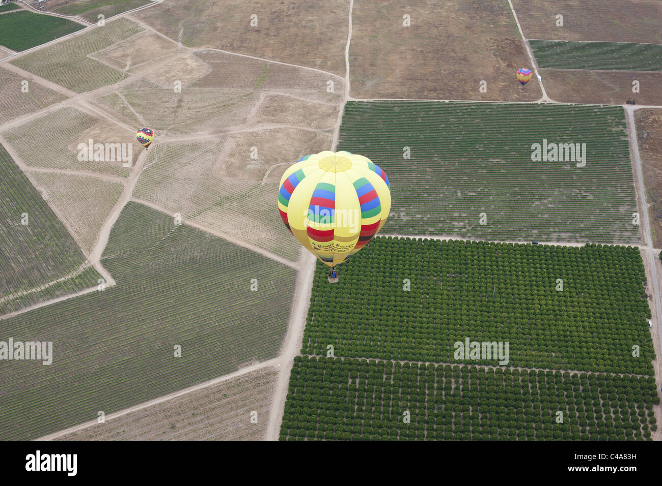 LUFT-LUFT-ANSICHT. Heißluftballon über Weinbergen und Orangenplantagen. Temecula, Riverside County, Kalifornien, USA. Stockfoto