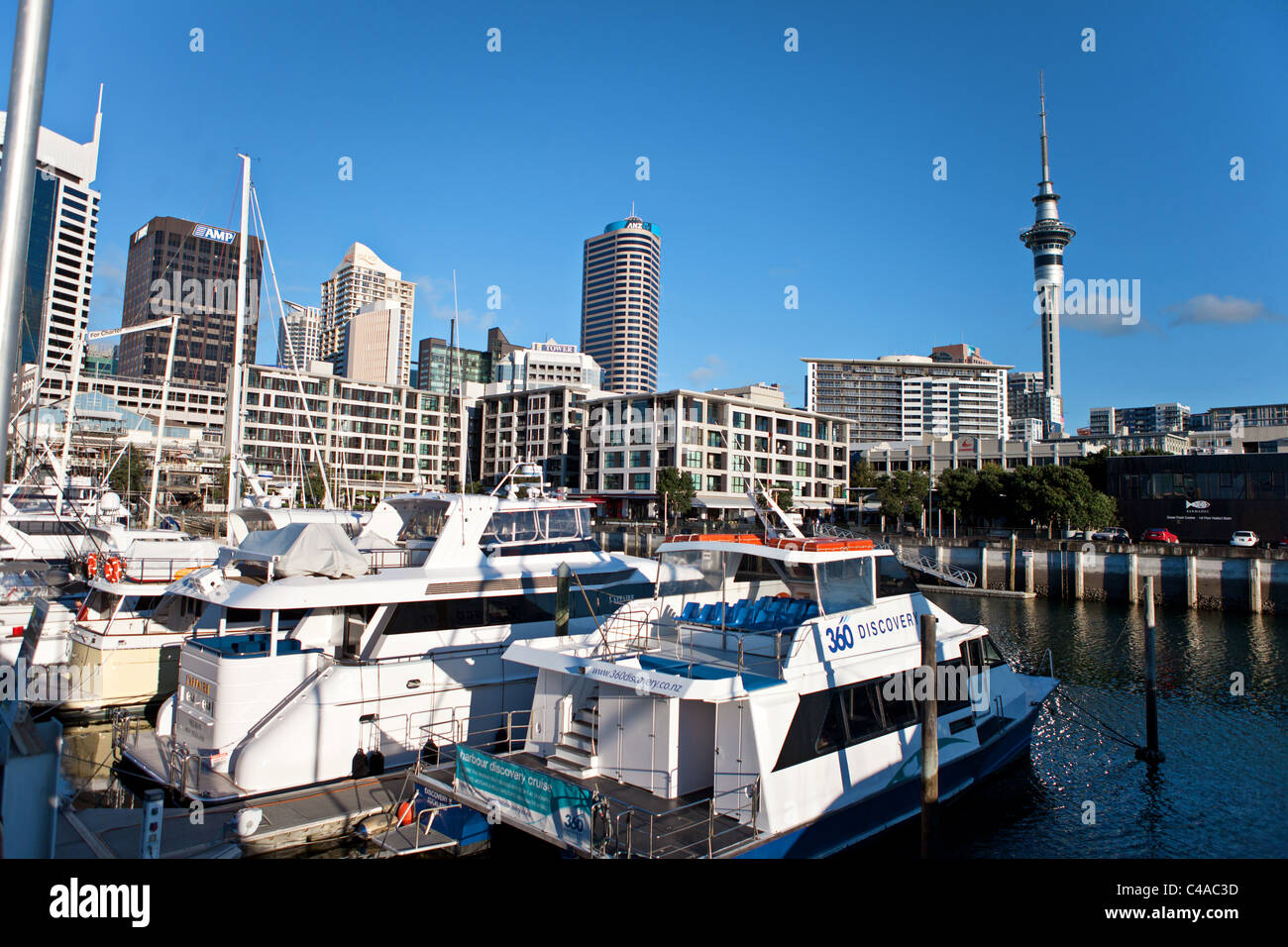 Auckland City gesehen von Marina, Neuseeland Stockfoto