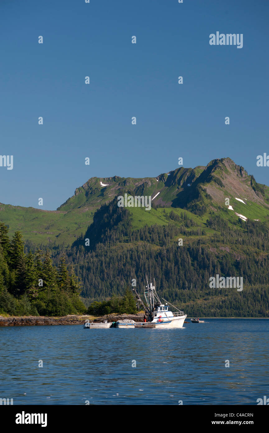 Prince William Sound, Alaska. Boote, Angeln auf Lachs in der Nähe von Chenega. Stockfoto
