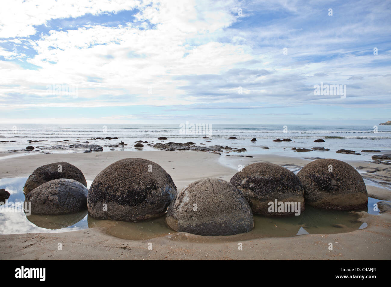 Moeraki Boulders, Südinsel, Neuseeland Stockfoto