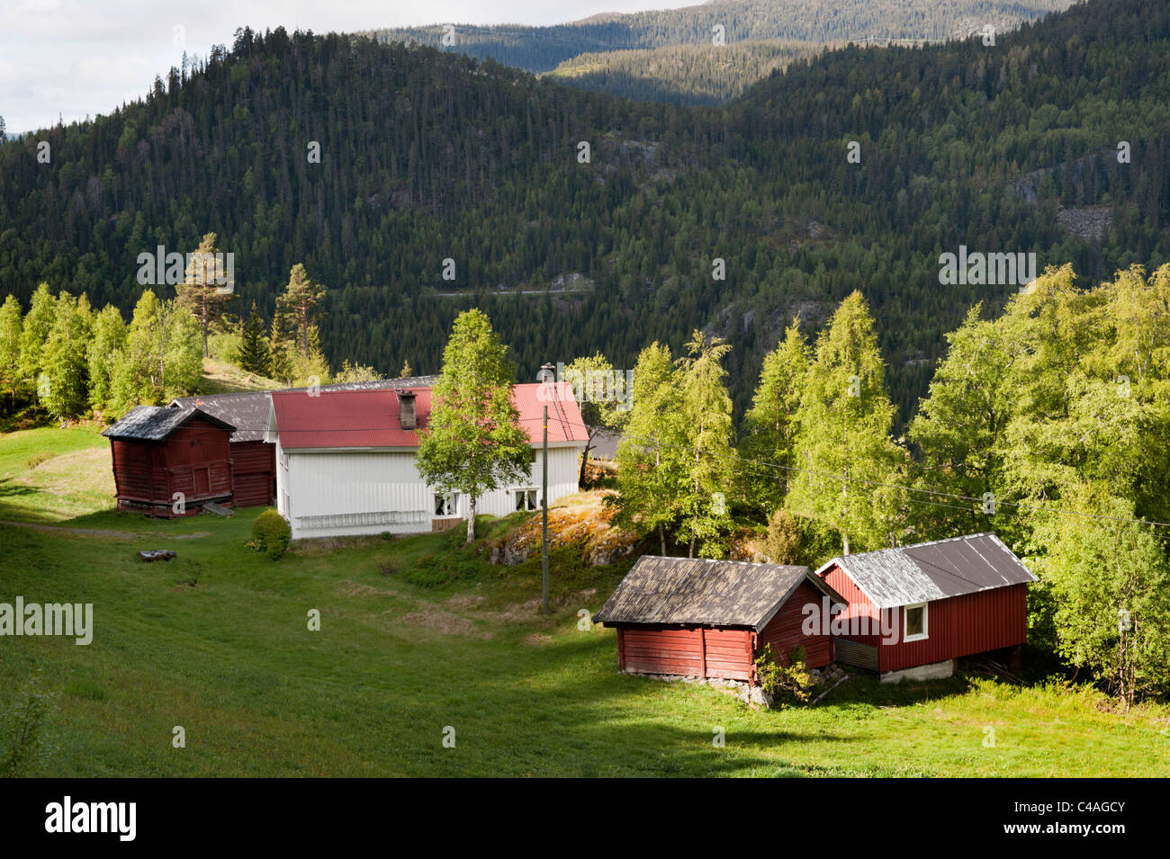 Hochland Bauernhof in der Nähe von Ravnejuvet, Süd-Norwegen Stockfoto