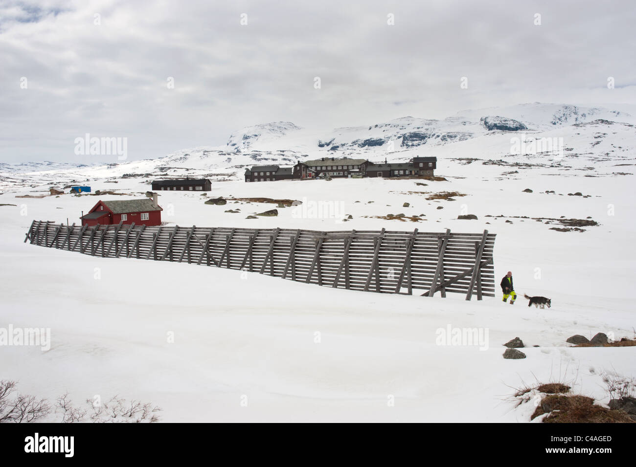 Verschneite Szene bei Finse, Südnorwegen Stockfoto