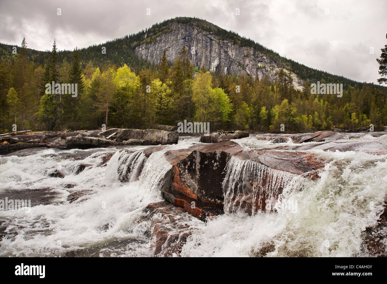 Wasserfälle und Stromschnellen, Tessungdalen Pass, Telemark, Norwegen Stockfoto