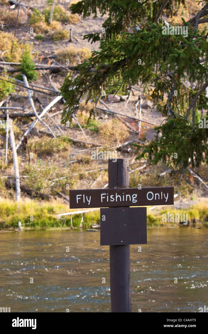 Gebuchte Zeichen entlang eines Flussufers (Firehole River) im Yellowstone National Park zeigt nur "Fliegenfischen" ist erlaubt. Stockfoto