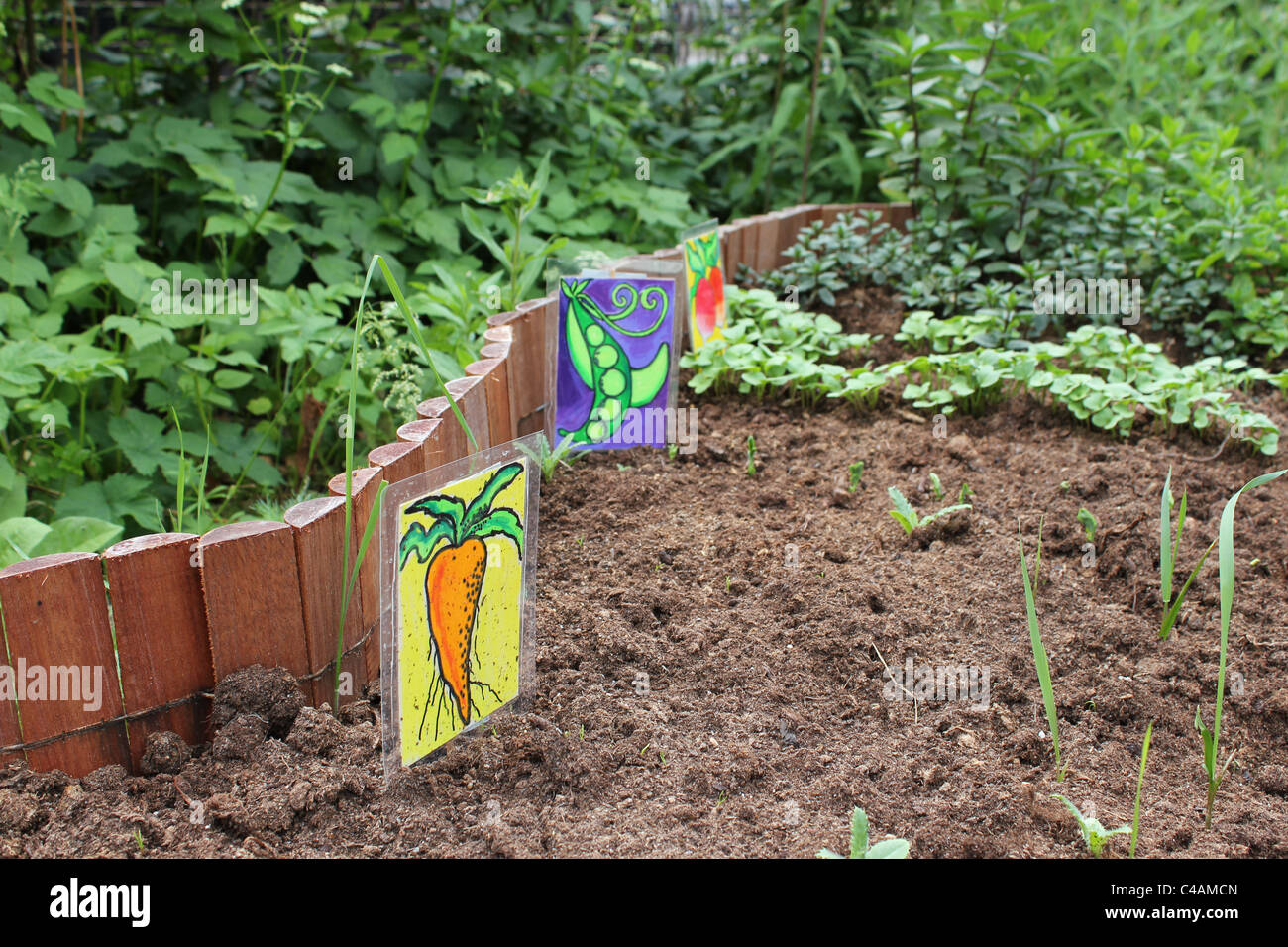 Kinder die kleinen Gemüsegarten in Kopenhagen Stockfoto