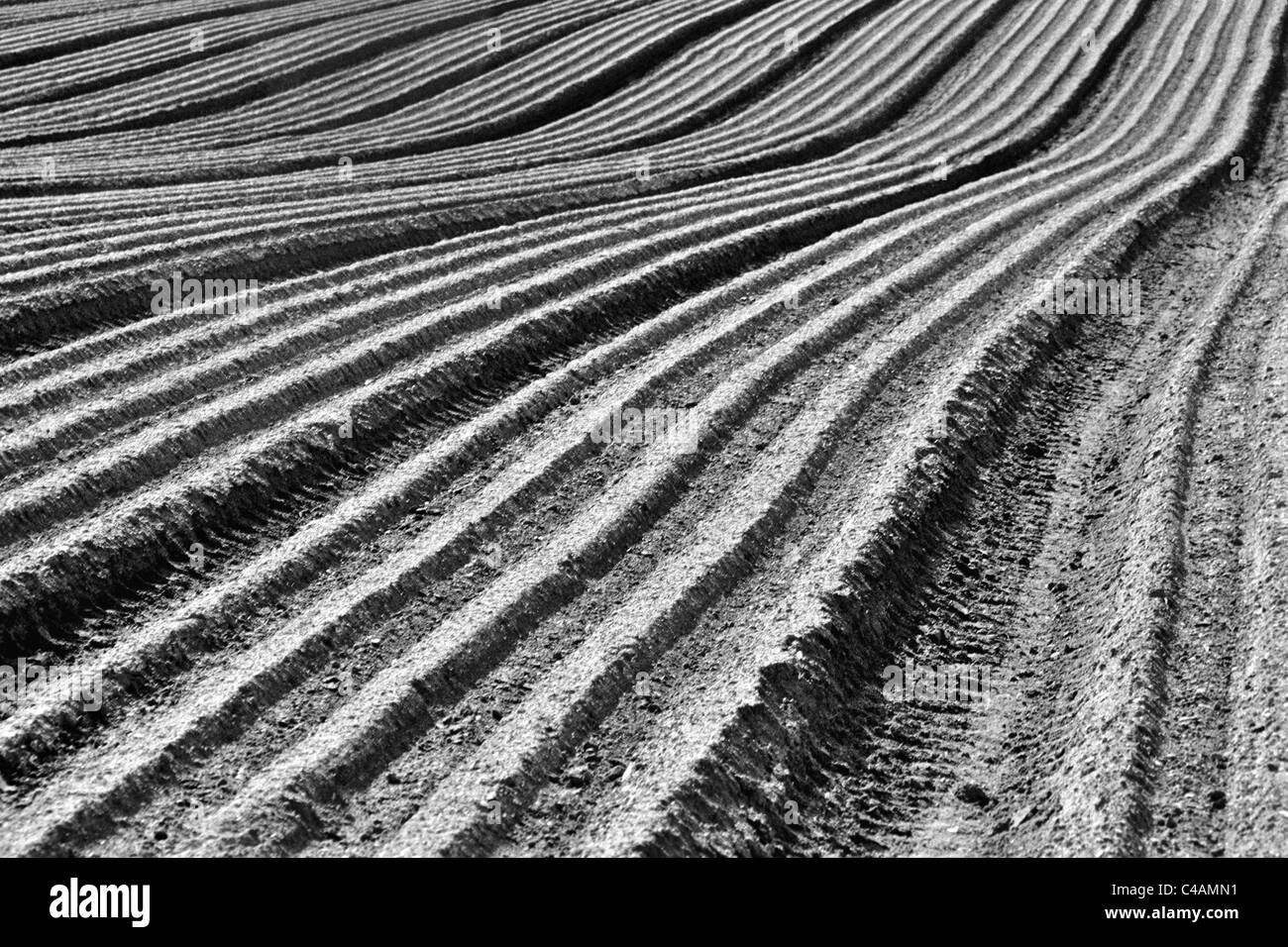 Monochrome Ploughed Feld. Stockfoto