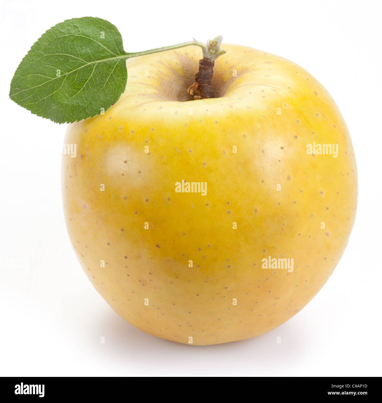 Reifer gelber Apfel mit einem Blatt. Isoliert auf weißem Hintergrund. Stockfoto