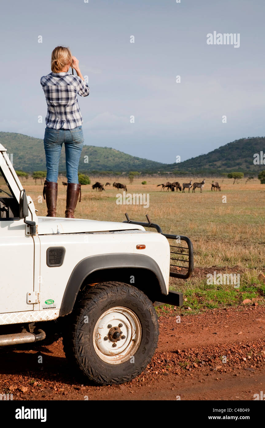 Tansania, Serengeti. Ein Tourist steht auf der Motorhaube von ihrem Land Rover die Gnus anzusehen. MR. Stockfoto