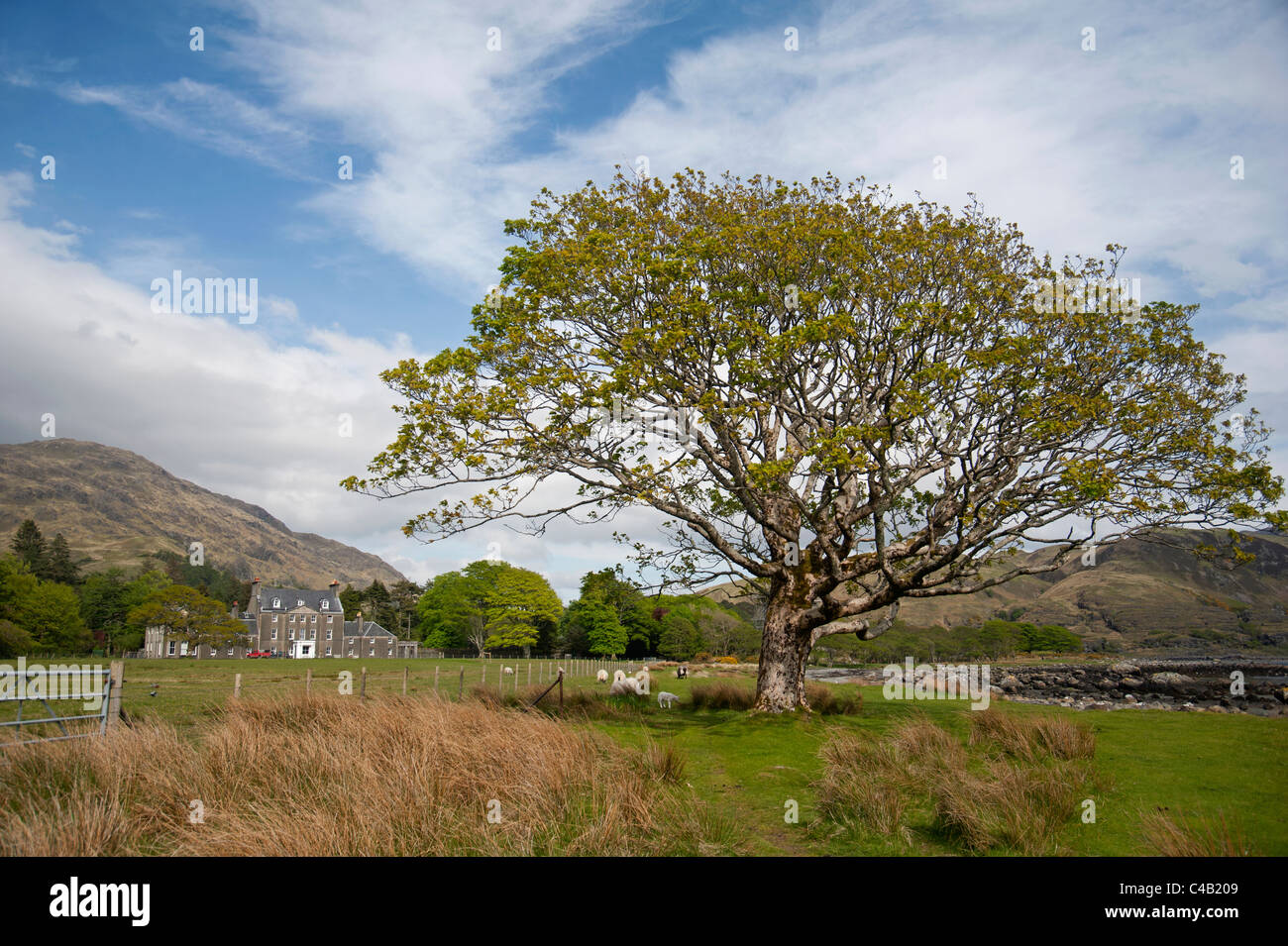 Lochbuie House, an der Westküste der Isle of Mull, Argyll. Strathclyde, Schottland. SCO 7148 Stockfoto