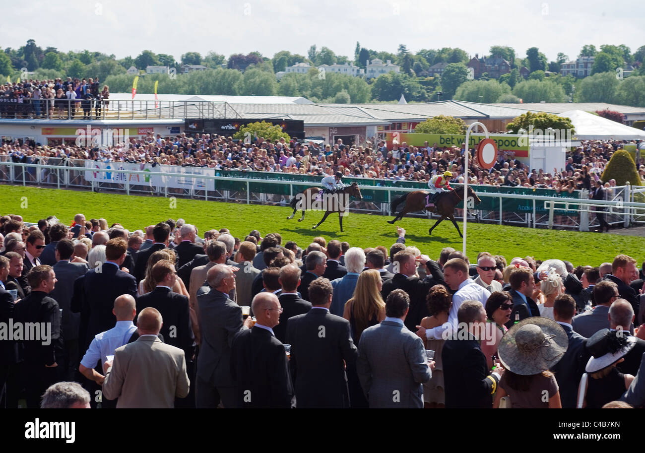 England, Cheshire, Chester. Zuschauer bei Chester Rennbahn Stockfoto