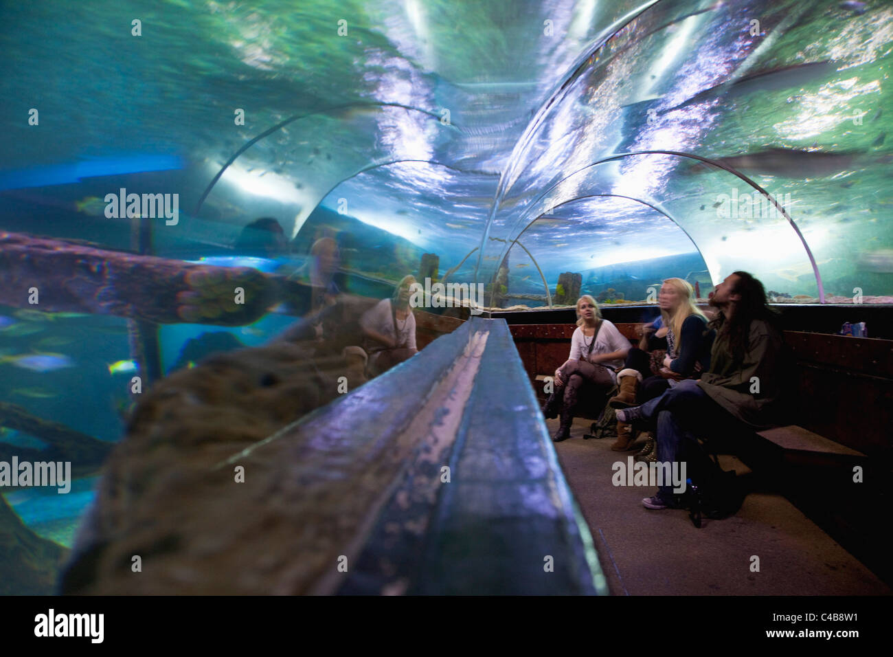 England, East Sussex, Brighton, Innere der unterirdischen Aquarium Sea Life Centre am Meer, gebogenen gläsernen Tunnel. Stockfoto