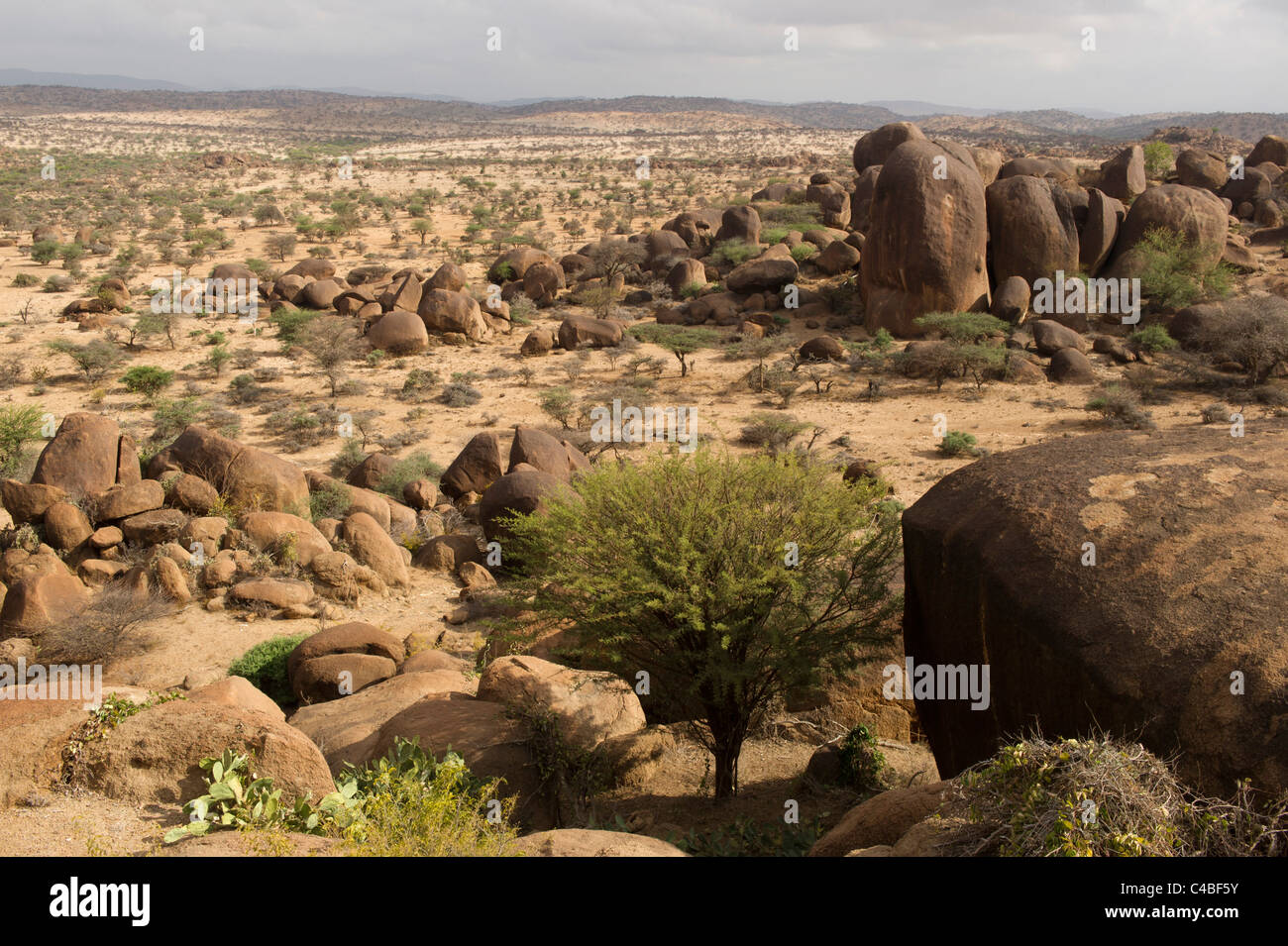 Landschaft Auf Dem Gelande Des Dhagax Khoure Uralte Felskunst Somaliland Somalia Stockfotografie Alamy