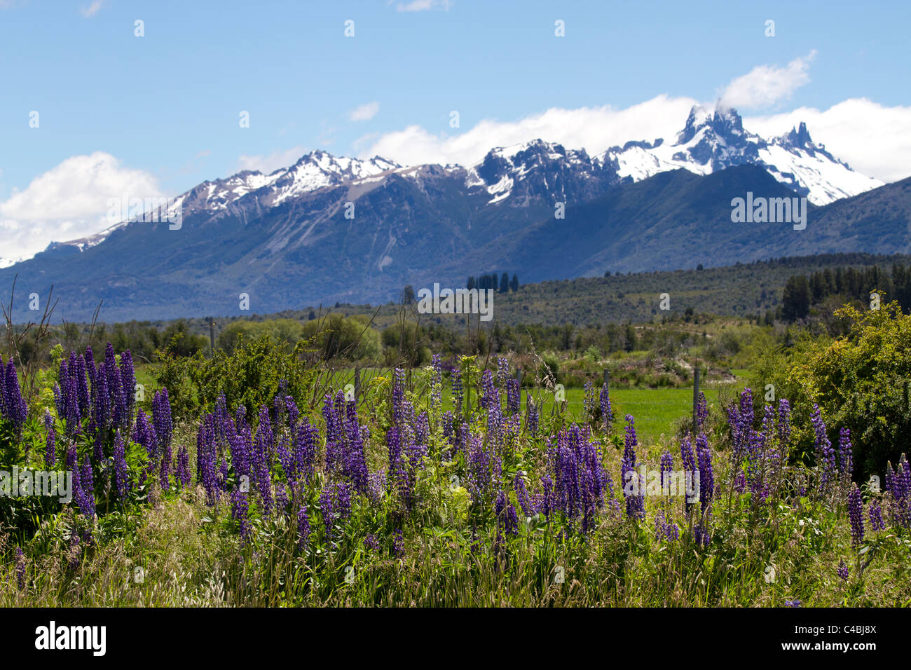 Cerro Catedral, Bariloche, Patagonien, Argentinien Stockfoto
