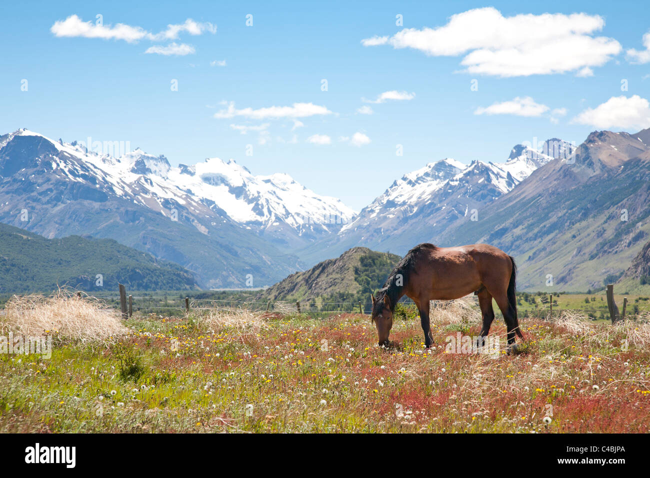 Fitz-Roy-massiv, Parque Nacional Los Glaciares, Patagonien, Argentinien Stockfoto